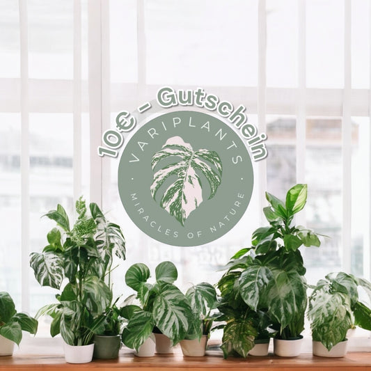 VariPlants - Gutschein