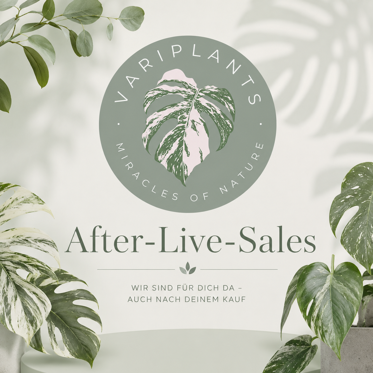 After-Live-Sales