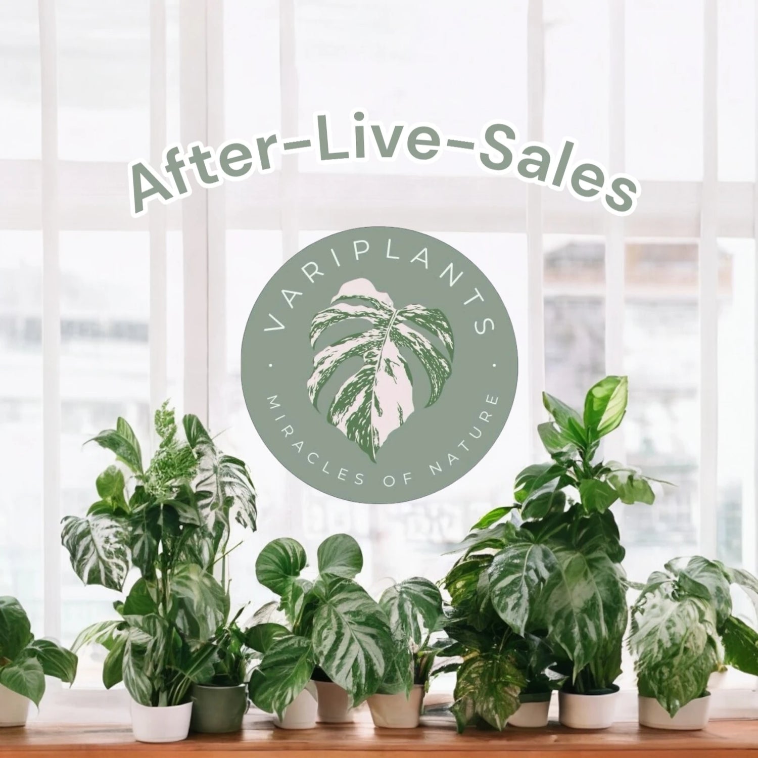 After-Live-Sales