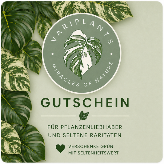 VariPlants - Gutschein